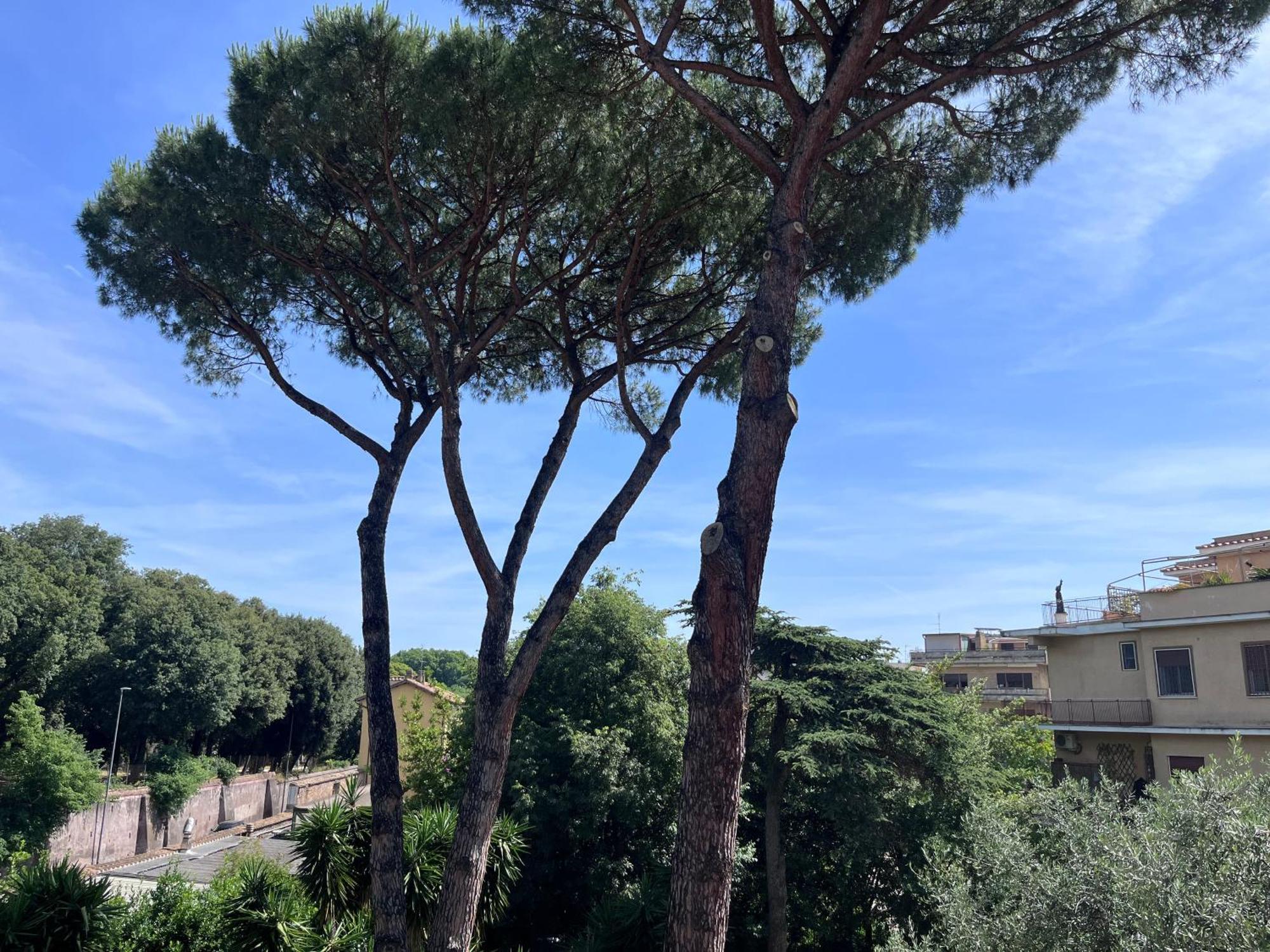 Green Park San Pancrazio — Photos 2